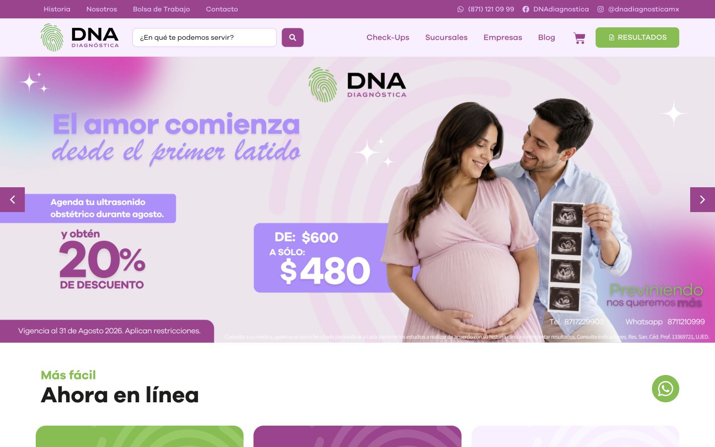 Captura real del sitio web de DNA Diagnóstica